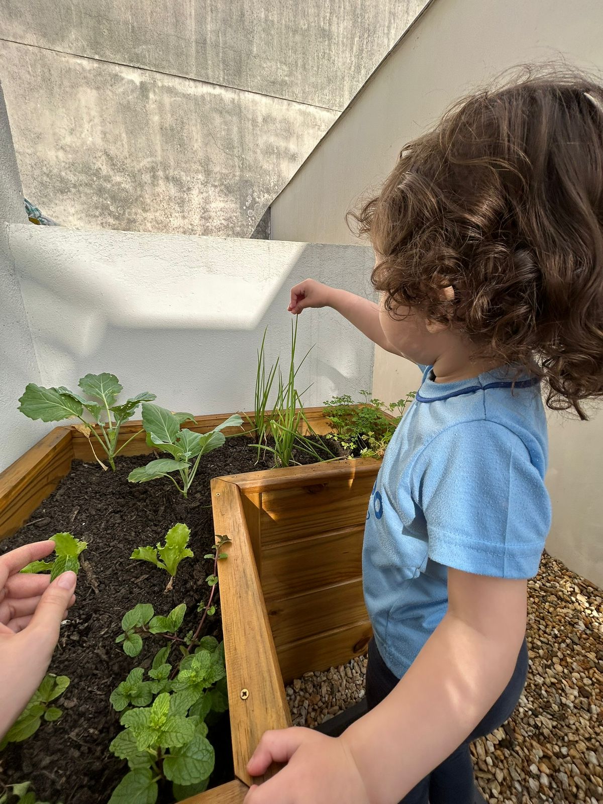 Criança mexendo nas plantas na horta